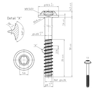Skrutka do tworzywa TORX 6x50 A2 CORAB M960