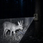 Fotopasca Orllo Huntercam 6 – 4G LTE, solárny panel 3 W, IR 940 nm – Obrázok 7