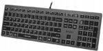 Klávesnica A4tech FStyler FX60H – USB, biele podsvietenie, nožnicové klávesy, sivá – Obrázok 6